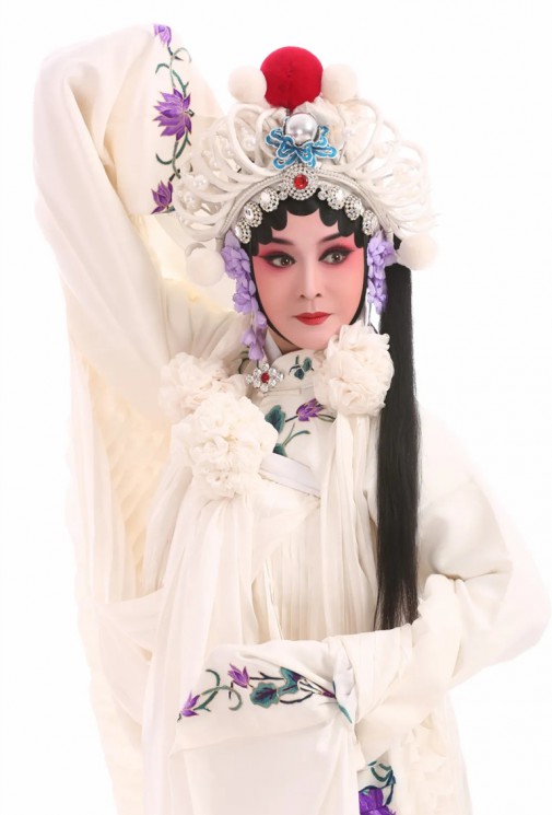 金城秦韻，梅香四溢——十二朵梅花共繪戲曲長卷